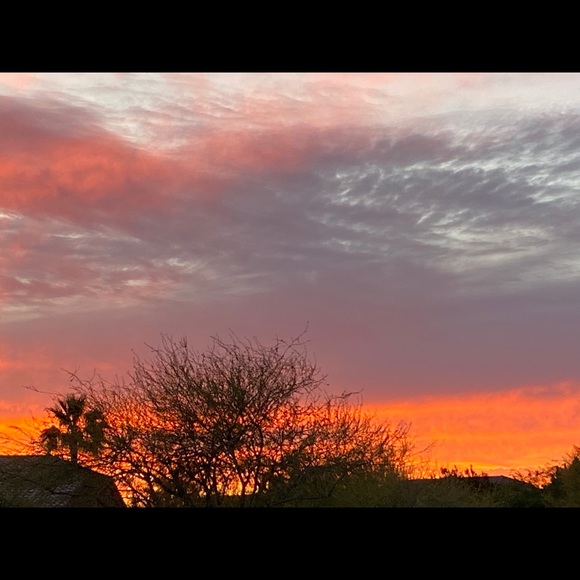 Meet your Posher, Ruth - Picture 2 of 2